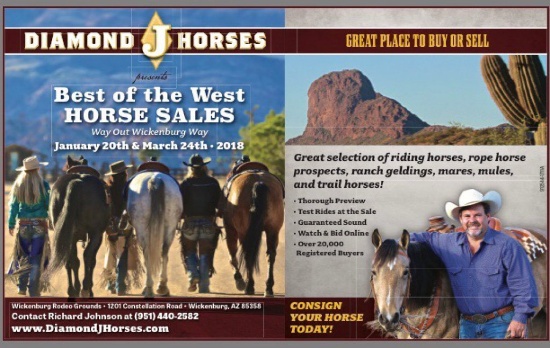 DIAMOND J HORSES JAN 20TH HORSE SALE WICKENBURG AZ