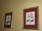 Pair- Framed Rose Prints