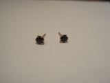 Pr. Sapphire Stud Earrings