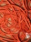 Lot - Extension Cord