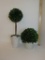 Pair Topiaries