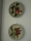 Pair of Decorative Molded  Plates