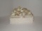 Seashell Jewelry Box