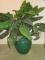 Large Ceramic Vase w/ Faux Greenery