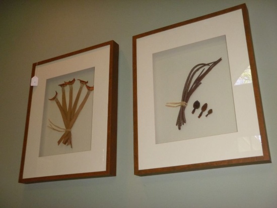 Unique Shadow Box Framed Natural Flora Wall Décor