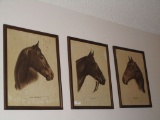 Trio of Equine Prints by Wallace