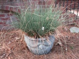 Verdigris Finished Concrete Planter w/ Lions Heads & Grass