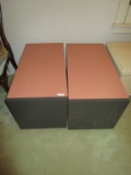 Pair of Contemporary Cubes - Can be used as end table and includes storage