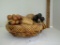 Woven Basket w/ Carved Wooden Fruit