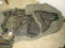 Lot - Vintage Military & Other