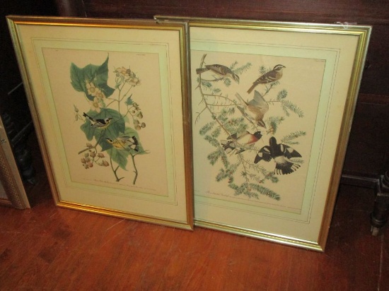 Pair - Vintage Reproduction Audubon Bird Prints "Rose breasted Grosbeak" &