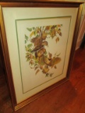 Framed & Matted Bird Print 