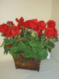 Metal Panted Planter w/ Faux Geranium Arrangement