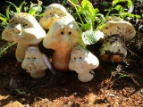 Lot - Resin Mushrooms w/ Very Expressive Faces