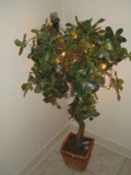 Faux Tree in Basket - 46