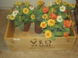 Wooden Wine Box w/ Faux Flowers