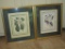 Pair Matted & Framed Magnolia Prints    Overall size  21
