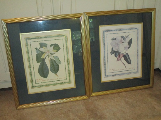 Pair Matted & Framed Magnolia Prints    Overall size  21" x 17 1/2"