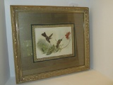 Framed Hummingbird Print   22