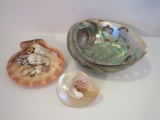 Assortment of Shells - 1 Large Abalone - Great for Soap Dish
