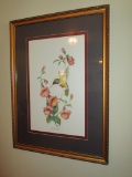 Carolyn Shores Wright Signed Hummingbird Print   23 1/2