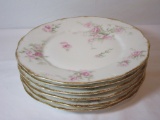 6 Theodore Haviland China  Plates with Floral Design