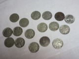 LOT OF 16 BUFFALO AND V NICKELS