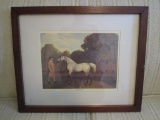 Framed & Matted Equestrian Print 