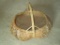 Split Oak Buttocks Basket 16 1/2