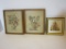 Lot Framed Dried Flowers and Pair of Floral Prints