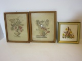 Lot Framed Dried Flowers and Pair of Floral Prints