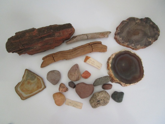 Lot Misc. Fossilized Rock & Other