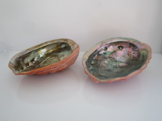 Lot 2 Abalone Shells Approx. 7 1/2"