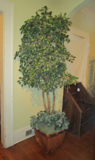 Faux Ficus Tree in Nice Basket Planter