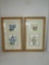 Pair Framed Tea Cup & Pitcher Prints - 18.5