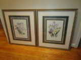 Pair Floral Prints in Gilt Frame - 23