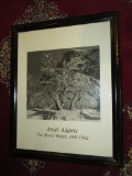 Ansel Adams Framed Poster 