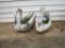 Pair Concrete Swan Planters