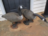 2 Plastic Yard Geese