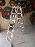 Werner Adjustable Ladder