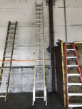 GreenBull Extension Ladder