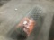 Chain Link Fencing