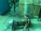 Viking Kk 4500 B Stainless Steel Positive Displacement Pump