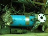 Crane Chem Pump Model Gvd-15k-153h-10 (can Pump Sealed )