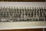 WWII Yardlong Photograph Batter F 341st Field Artillery