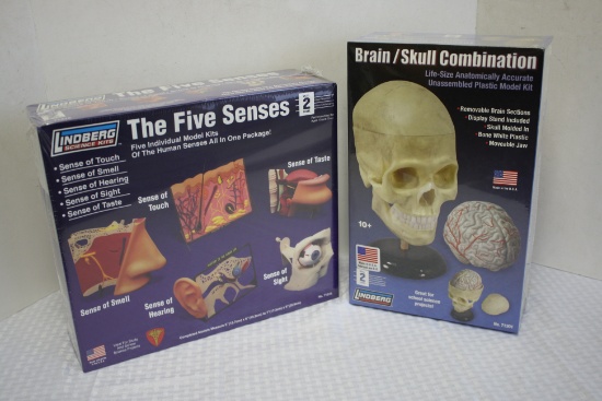 Lindberg Anatomically Accurate Model Kits A