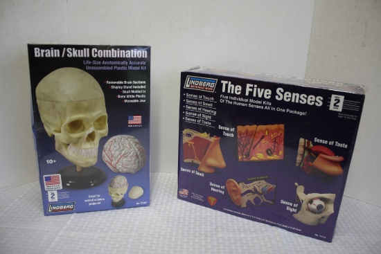 Lindberg Anatomically Accurate Model Kits B