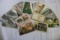 Lot of 50- Mixed Postcards B