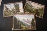 1910 Zurich Switzerland Photo Books