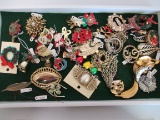 Huge Lot of Brooches and Pins